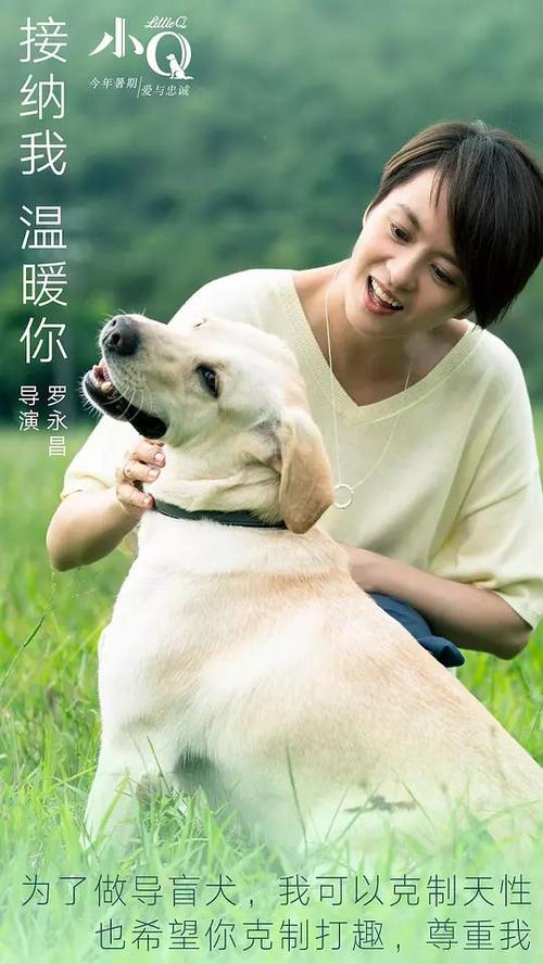 克莱蒙特·麦肯纳学院 Market Development Diploma
